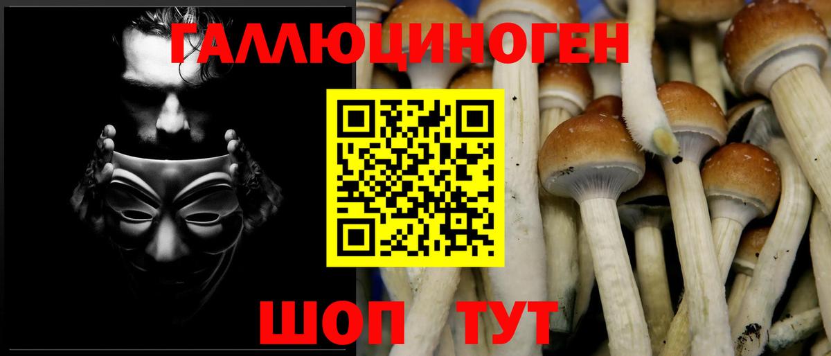 Псилоцибиновые грибы GOLDEN TEACHER  наркота  Вход с VPN  Славянск-на-Кубани  Галлюциногенные грибы прущие грибы 